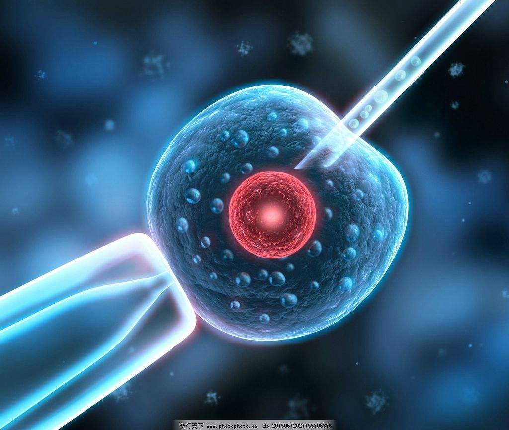 浙江不孕不育医院