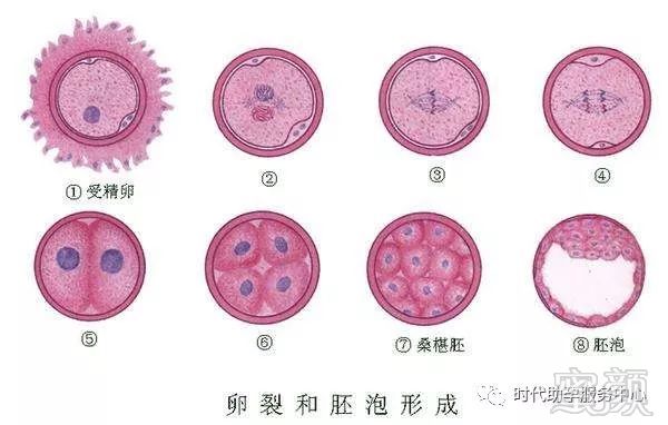 济宁不孕不育医院
