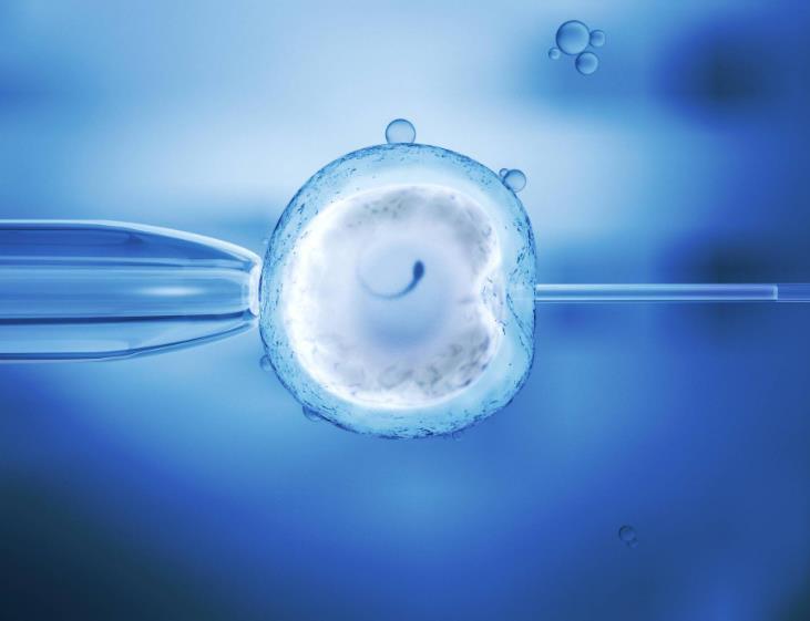 浙江不孕不育医院