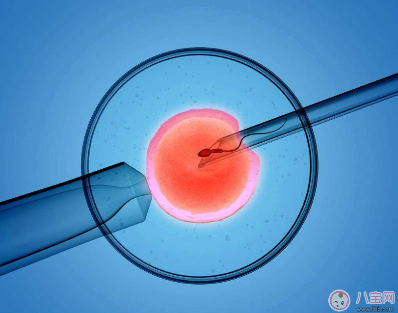 济南红十字不孕不育